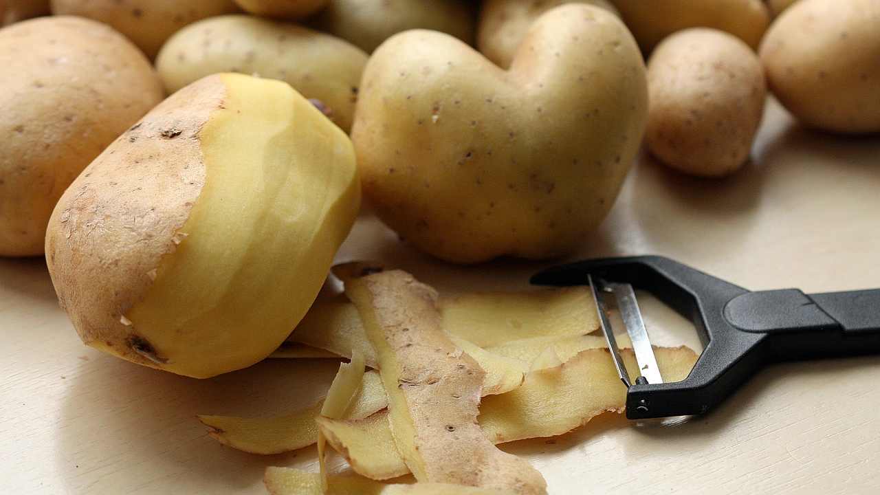 bucce patata