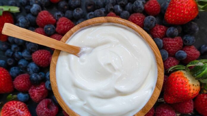 yogurt flora