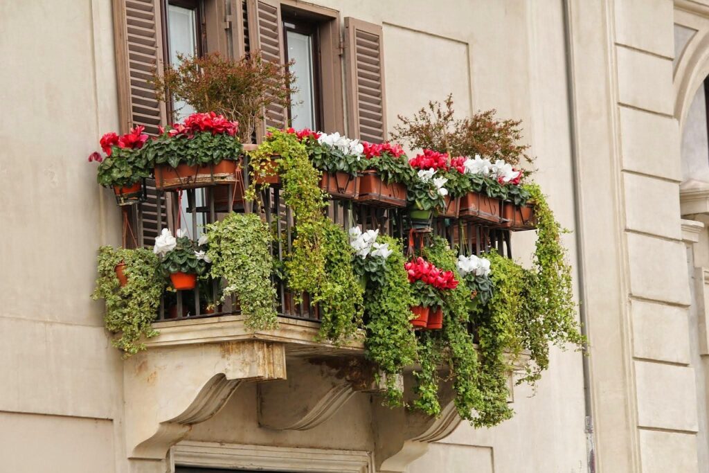 Oroscopo del giardinaggio: la pianta che ogni segno dovrebbe coltivare sul balcone
