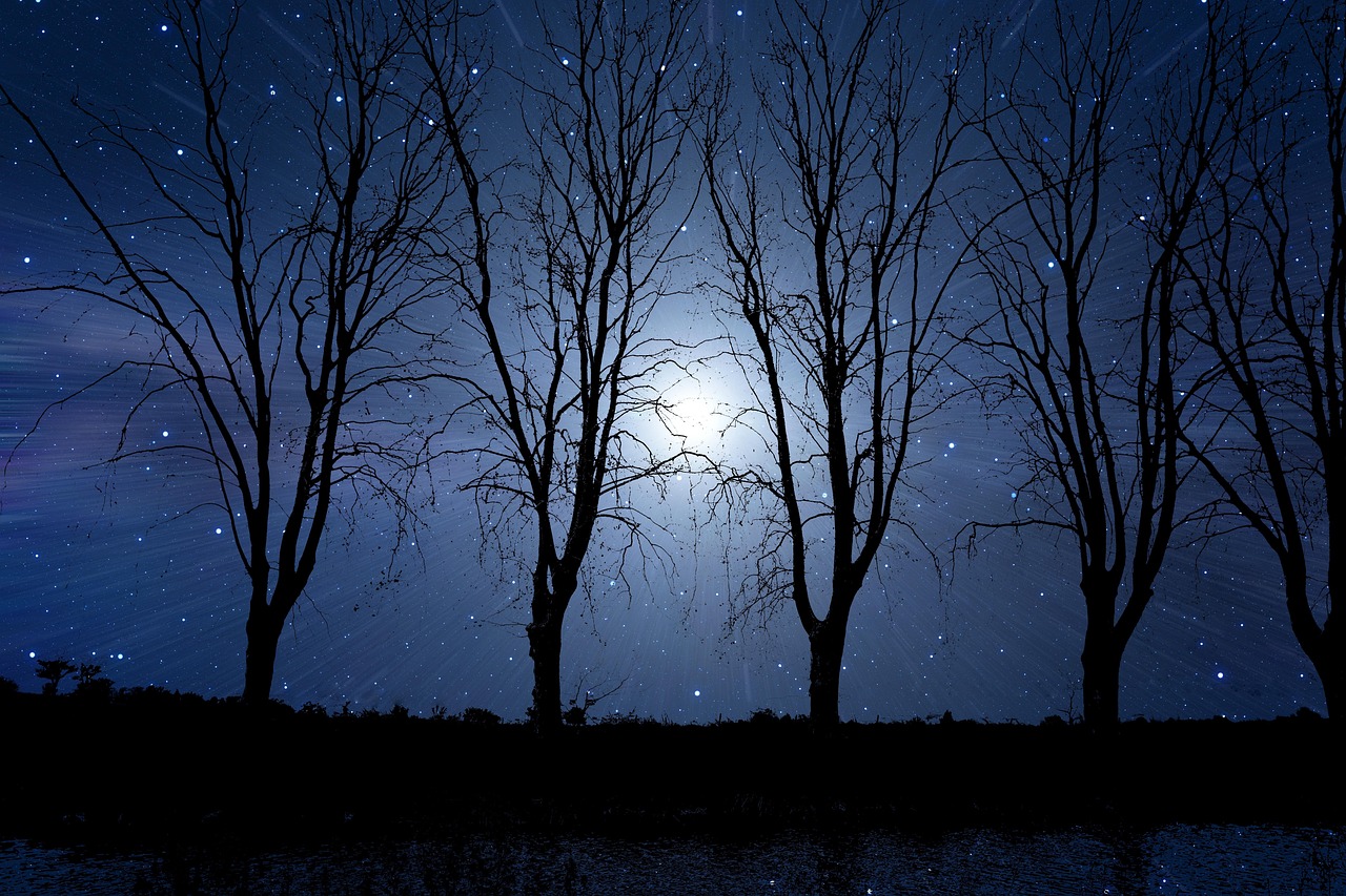 Immagine di un cielo stellato con una citazione profonda sulla serenità notturna.