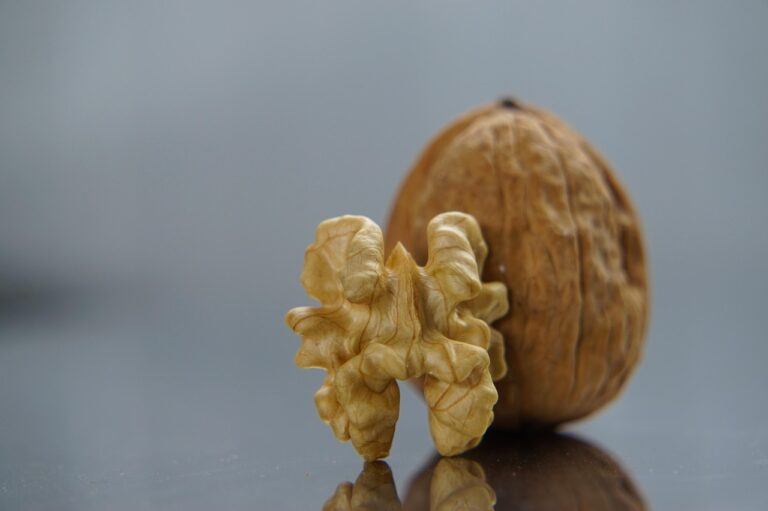 Come le noci possono ridurre la glicemia: ecco il modo corretto di consumarle ogni giorno