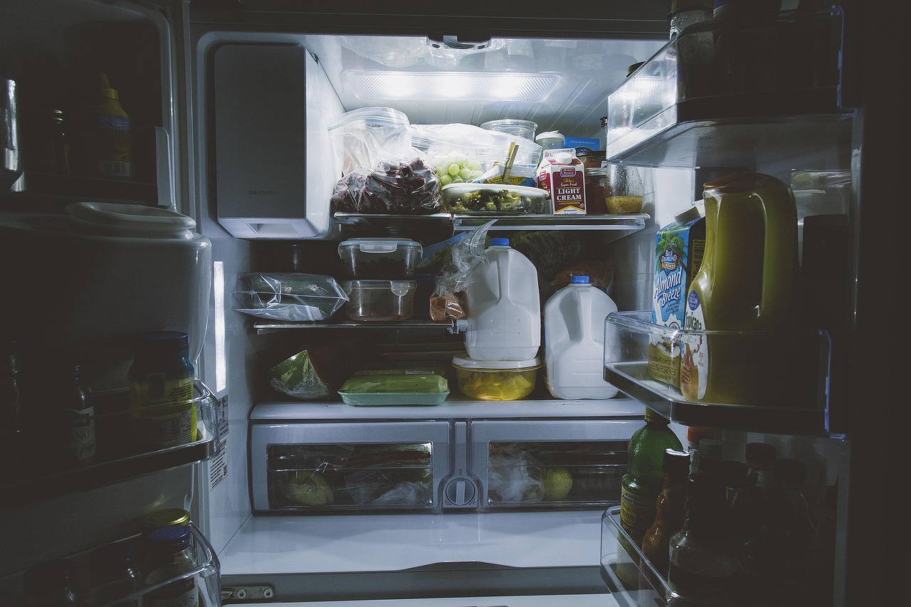 Frigorifero con guarnizioni nere, evidenziando la muffa che minaccia la sicurezza alimentare.