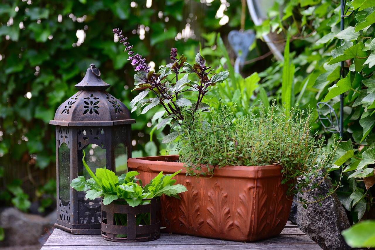 Piante aromatiche per terrazzo: basilico, rosmarino e lavanda, ottime contro le zanzare.